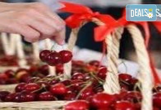 Фестивал на черешата е Текирдаг! 1 нощувка, закуска и транспорт от Неврокоп Травел - Снимка 4