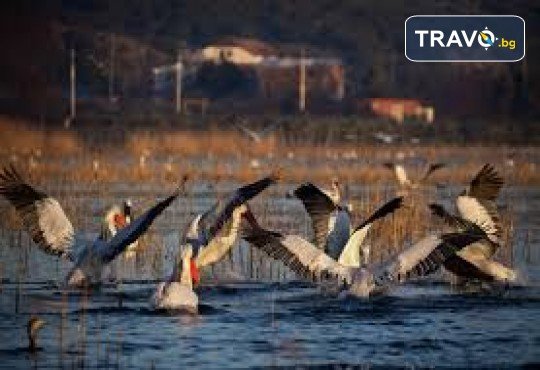 Уикенд край Дойранското езеро и посещение на Рупите: екскурзия с 1 нощувка, закуска и транспорт от Неврокоп Травел - Снимка 4