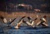 Уикенд край Дойранското езеро и посещение на Рупите: екскурзия с 1 нощувка, закуска и транспорт от Неврокоп Травел - thumb 4