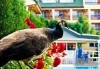 Уикенд край Дойранското езеро и посещение на Рупите: екскурзия с 1 нощувка, закуска и транспорт от Неврокоп Травел - thumb 5