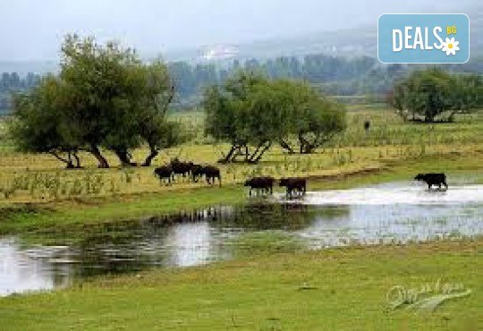 Еднодневна екскурзкия до Керкини, езерото на пеликани и фламинго с транспорт от Неврокоп Травел - Снимка 3