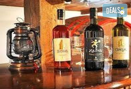 Фестивал на баницата в Бела Паланка с нощувка в Нишка баня и посещение на  Пирот, Ниш и винарна Малча, транспорт и водач от Комфорт Травел - Снимка 4