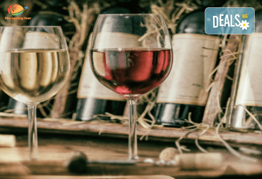 Фестивал на баницата в Бела Паланка с нощувка в Нишка бавя и посещение на  Пирот, Ниш и винарна Малча, бонус - вечеря с програма и транспорт от Еко Айджънси Тур - Снимка 3