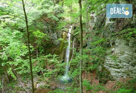 1 ден до водопада Сливодолското падало - перлата на Западните Родопи с водач и транспорт от ТА Поход - Снимка 2