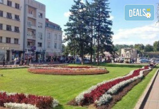 Екскурзия до Сърбия с 1 нощувка със закуска и празнична вечеря с жива музика и напитки без лимит, транспорт с пътни такси от Комфорт Травел - Снимка 5