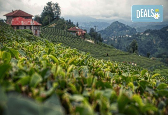 7 дни/ 6 нощувки със закуски екзкурзия По пътя на чая и планините: Турция и Грузия: София, Трабзон, Ризе, Айдер, Ортахисар, Узунгьол, Батуми, Трабзон, София от Росса Травъл - Снимка 3