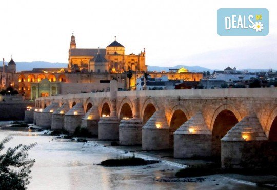 Нова година 2026 в Коста дел Сол, х-л Las Palmeras 4*! 7 нощувки със закуска и вечеря в ексклузивен хотел в Коста дел Сол. Директен полет от София до Малага. Богата екскурзионна програма, самолетен билет с включени летищни такси от Абакс - Снимка 6