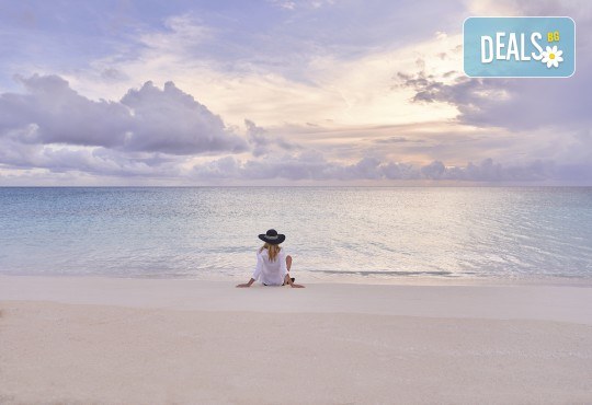 Великденски круиз Маями, Хондурас, Мексико и Бахами с най-новия MSC World America! 10 нощувки, самолетни билети, трансфери от Океан Травел - Снимка 26