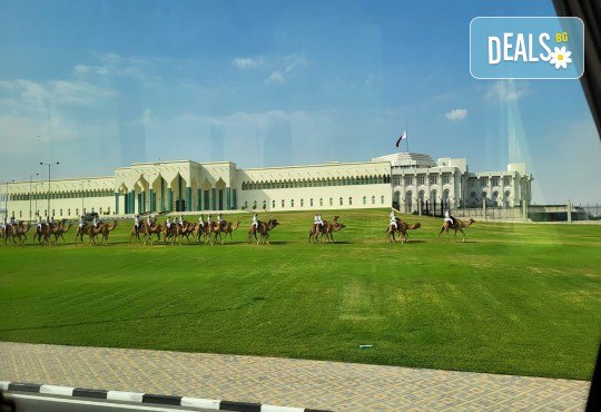 Круиз Дубай, Катар, Бахрейн, Абу Даби и Сир Бани Яс с луксозния круизен кораб MSC Euribia! 7 нощ. със закуска, обяд, следобедна закуска, вечеря и 1 нощувка в Дубай, от Оушън Травел - Снимка 13