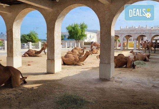 Круиз Дубай, Катар, Бахрейн, Абу Даби и Сир Бани Яс с луксозния круизен кораб MSC Euribia! 7 нощ. със закуска, обяд, следобедна закуска, вечеря и 1 нощувка в Дубай, от Оушън Травел - Снимка 23