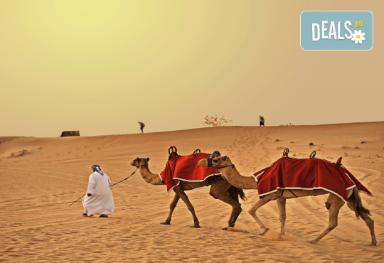 Круиз Дубай, Катар, Бахрейн, Абу Даби и Сир Бани Яс с луксозния круизен кораб MSC Euribia! 7 нощ. със закуска, обяд, следобедна закуска, вечеря и 1 нощувка в Дубай, от Оушън Травел - Снимка 26