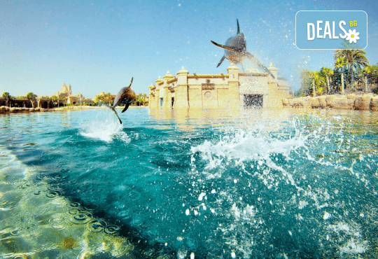 Круиз Дубай, Катар, Бахрейн, Абу Даби и Сир Бани Яс с луксозния круизен кораб MSC Euribia! 7 нощ. със закуска, обяд, следобедна закуска, вечеря и 1 нощувка в Дубай, от Оушън Травел - Снимка 28