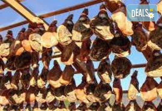 Еднодневна екскурзия до град Елена за празника на Еленския бут с водач и транспорт от Поход - Снимка 5