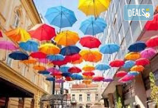 Уикенд в Белград! 1 нощувкa със закуска в хотел 3* в района на Белград, посещение на Ниш и транспорт от Дениз Травел - Снимка 4
