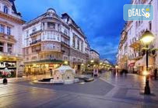 Екскурзия в Белград! 2 нощувки със закуски в хотел 3* в района на Белград, посещение на Ниш и транспорт от Дениз Травел - Снимка 9