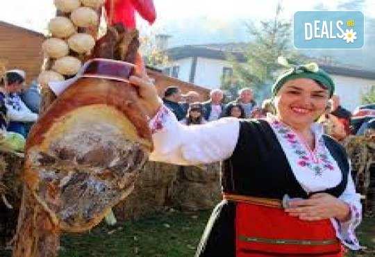 Еднодневна екскурзия за празника на Еленския бут в гр. Елена! Транспорт и водач от Дениз Травел - Снимка 3