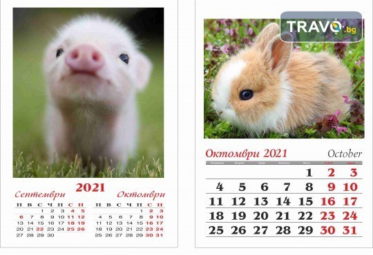 Супер подарък за Вашите близки! Голям стенен „6-листов календар” с 6 големи снимки на клиента и луксозен печат от Офис 2 - Снимка 3