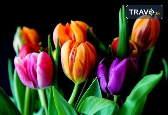 Фестивал на лалето в Истанбул - магия на цветове! 4 дни, 2 нощувки със закуски и транспорт от Дениз Травел - Снимка 9