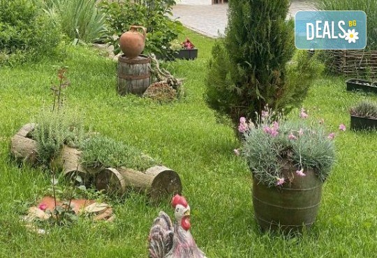 Уикенд купон по сръбски! Екскурзия до Етно село Стара планина с нощувка със закуска и вечеря, плюс транспорт и посещение на фестивала на пегланата колбасица, от Поход - Снимка 5