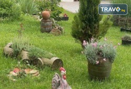 Свети Валентин в Сърбия! Екскурзия до Етно село Стара планина с нощувка със закуска и вечеря с жива музика и алкохол - без лимит, плюс транспорт и посещение на Пирот и Цариброд, от Поход - Снимка 5