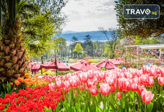 Ранни записвания! Екскурзия до Истанбул за Фестивала на лалето: 2 нощувки със закуски, плюс транспорт и посещение на Одрин, от Поход - Снимка 3