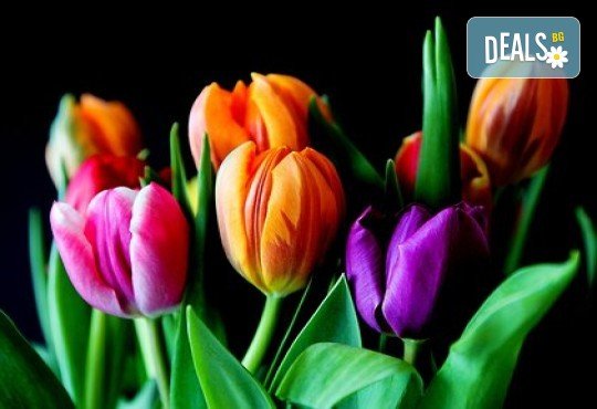 Фестивал на лалето в Истанбул - феерия на цветове! 5 дни, 3 нощувки със закуски, посещение на Одрин и транспорт от Дениз Травел - Снимка 10