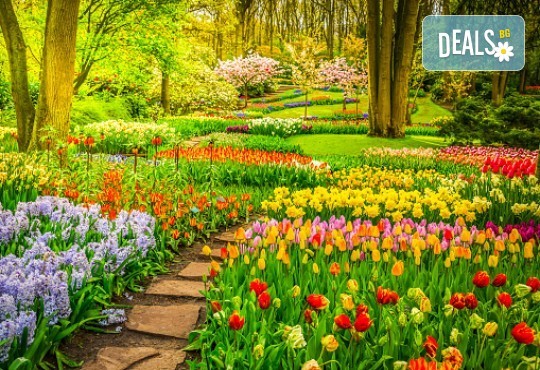 Фестивал на лалето в Истанбул - феерия на цветове! 5 дни, 3 нощувки със закуски, посещение на Одрин и транспорт от Дениз Травел - Снимка 11