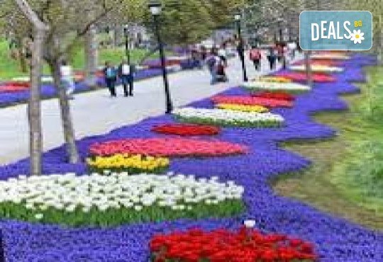 Фестивал на лалето в Истанбул - феерия на цветове! 5 дни, 3 нощувки със закуски, посещение на Одрин и транспорт от Дениз Травел - Снимка 1