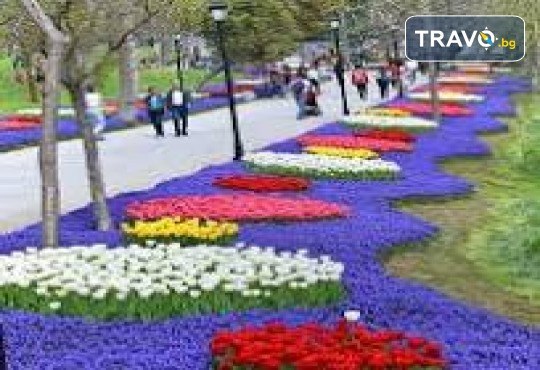 Фестивал на лалето в Истанбул - феерия на цветове! 5 дни, 3 нощувки със закуски, посещение на Одрин и транспорт от Дениз Травел - Снимка 1