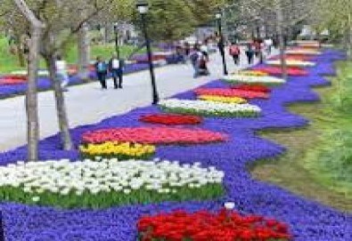 Фестивал на лалето в Истанбул - феерия на цветове! 5 дни, 3 нощувки със закуски, посещение на Одрин и транспорт от Дениз Травел - Снимка