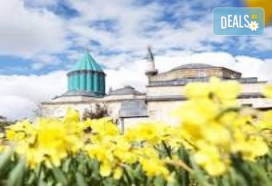 Фестивал на лалето в Истанбул - феерия на цветове! 5 дни, 3 нощувки със закуски, посещение на Одрин и транспорт от Дениз Травел - Снимка 12