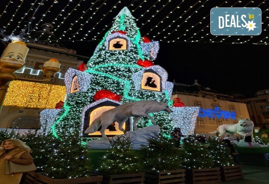 Коледна приказка в Крайова! Еднодневна екскурзия до красивите коледни базари и транспорт от Рикотур - Снимка 5
