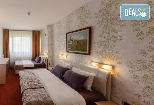 8 Март в Чачак, Сърбия! 2 нощувки хотел Ливаде', закуски, празнична вечеря, жива музика, напитки и възможност за транспорт от Рикотур - Снимка 18