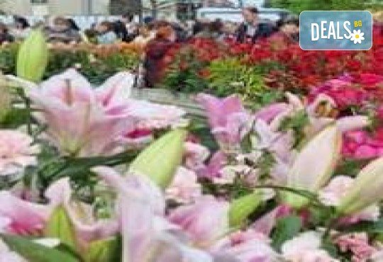 Един различен Великден! Фестивал “Симфония на лалетата” в Питещи, Букурещ, Крайова, Видин, Белоградчик! 3 нощувки със закуски и транспорт от Рикотур - Снимка 3