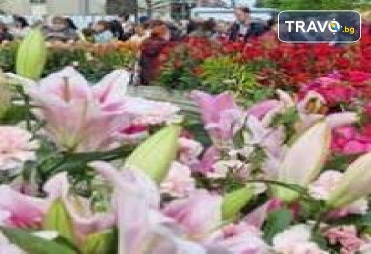 Един различен Великден! Фестивал “Симфония на лалетата” в Питещи, Букурещ, Крайова, Видин, Белоградчик! 3 нощувки със закуски и транспорт от Рикотур - Снимка 3