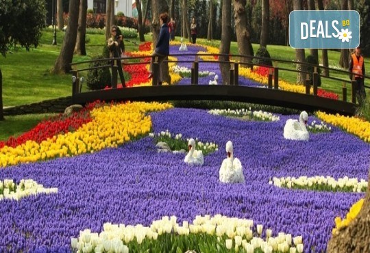 Фестивал на лалето в Истанбул! 5 дни/ 3 нощувки със закуски в хотел 4*, допълнителни екскурзии и транспорт от Рикотур - Снимка 1