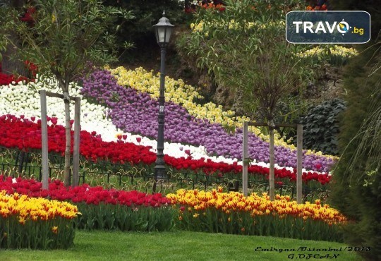 Фестивал на лалето в Истанбул! 5 дни/ 3 нощувки със закуски в хотел 4*, допълнителни екскурзии и транспорт от Рикотур - Снимка 8