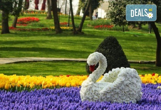 Фестивал на лалето в Истанбул! 5 дни/ 3 нощувки със закуски в хотел 4*, допълнителни екскурзии и транспорт от Рикотур - Снимка 10