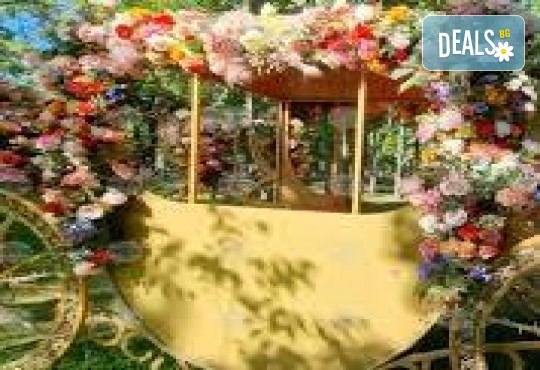 От Пловдив и Асеновград еднодневна екскурзия до Крайова - Фестивал на цветятя! Туристическа програма и транспорт от Роял Холидейз - Снимка 1