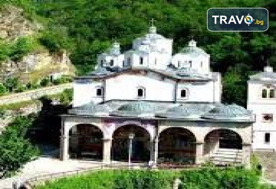 Еднодневна разходка до Крива Паланка и парк Гиновци с водач и транспорт от Роял Холидейз - Снимка 4