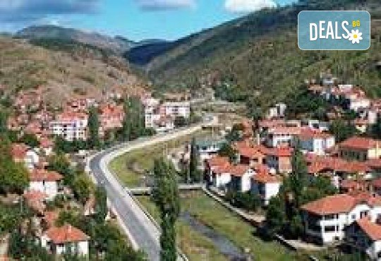 Еднодневна разходка до Крива Паланка и парк Гиновци с водач и транспорт от Роял Холидейз - Снимка 6