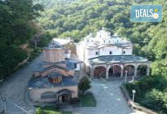 Еднодневна разходка до Крива Паланка и парк Гиновци с водач и транспорт от Роял Холидейз - Снимка 5