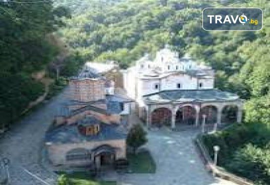 Еднодневна разходка до Крива Паланка и парк Гиновци с водач и транспорт от Роял Холидейз - Снимка 5