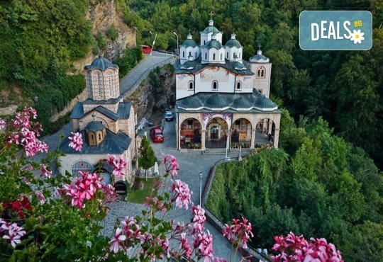 Еднодневна разходка до Крива Паланка и парк Гиновци с водач и транспорт от Роял Холидейз - Снимка 1