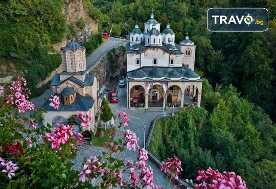 Еднодневна разходка до Крива Паланка и парк Гиновци с водач и транспорт от Роял Холидейз - Снимка 1