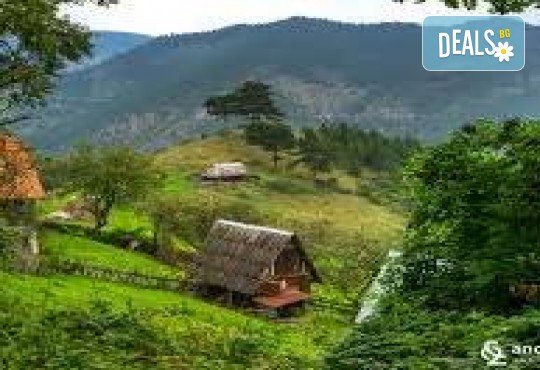 Еднодневна екскурзия до Дървения град на Емил Кустурица! Туристическа програма и транспорт от Роял Холидейз - Снимка 3