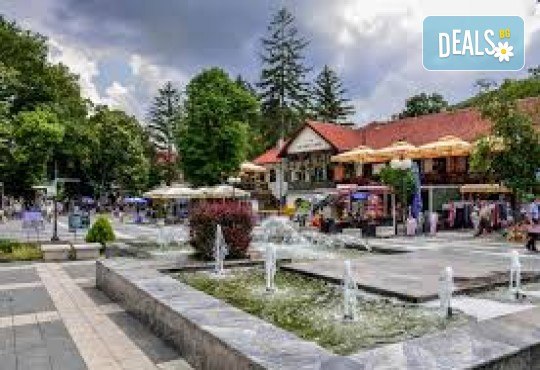 Посрещнете 8 Март в Сърбия, Сокобаня! 1 нощувка, 1 закуска , вечеря с жива музика, неограничен алкохол с посещение на Пирот и Ниш от Поход - Снимка 1
