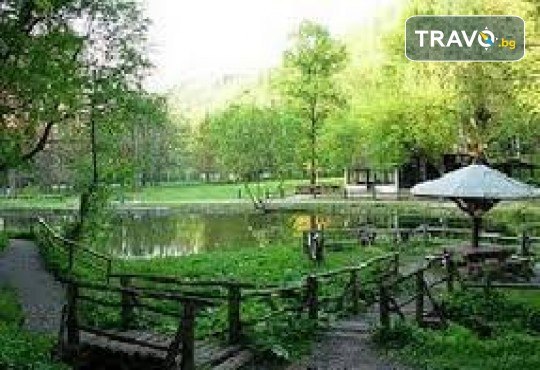 Посрещнете 8 Март в Сърбия, Сокобаня! 1 нощувка, 1 закуска , вечеря с жива музика, неограничен алкохол с посещение на Пирот и Ниш от Поход - Снимка 3