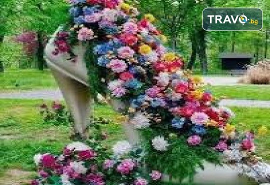 Еднодневна екскурзия до Крайова - събудете магията на Великденските празници с фестивала на цветята! Включен транспорт от Комфорт ТравелКомфорт Травел - Снимка 2