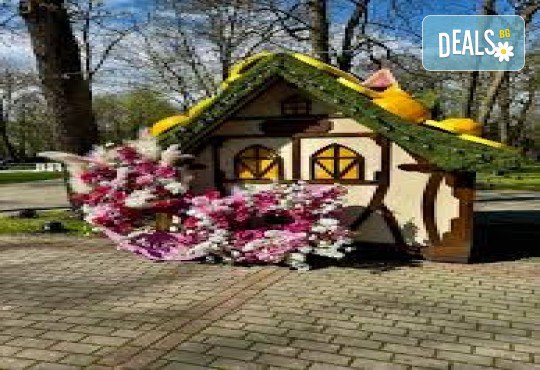 Еднодневна екскурзия до Крайова! Посещение на парк Никола Романеску“ и търговски център Promenada с водач и транспорт от Дениз Травел - Снимка 5